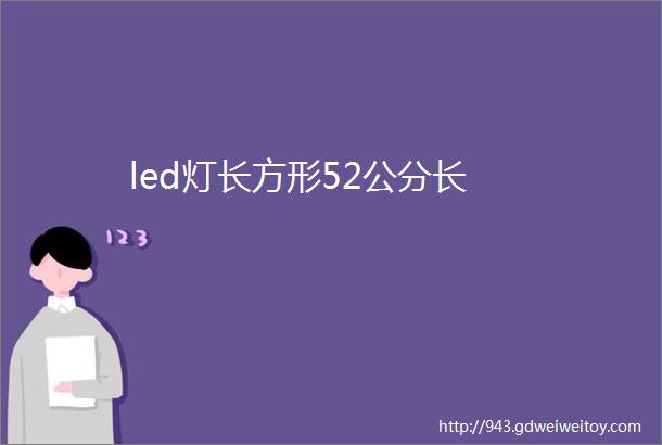 led灯长方形52公分长